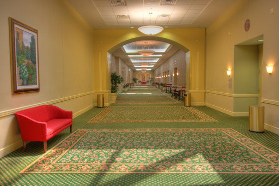 Durham Marriott City Center Extérieur photo